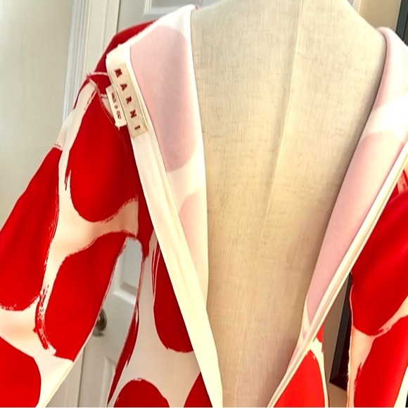 Marni, Exquisite Lux Statement Dress, Stretch, Form-Flattering, Size: US6, IT42 - Picture 5 of 10